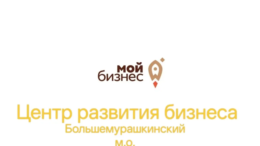 ПРИЕМ В ОКНАХ ЦЕНТРА «МОЙ БИЗНЕС»
