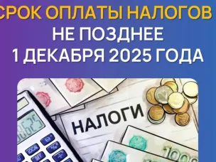 Уведомления о необходимости уплатить имущественные налоги за прошлый год уже доступны в личных кабинетах налогоплательщиков на сайте и/или в приложении ФНС