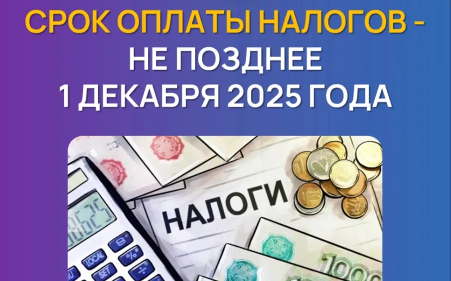 Уведомления о необходимости уплатить имущественные налоги за прошлый год уже доступны в личных кабинетах налогоплательщиков на сайте и/или в приложении ФНС