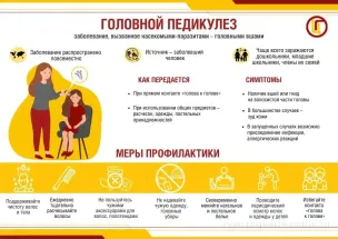 Профилактика головного педикулеза