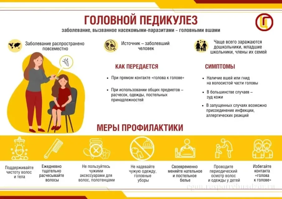 Профилактика головного педикулеза